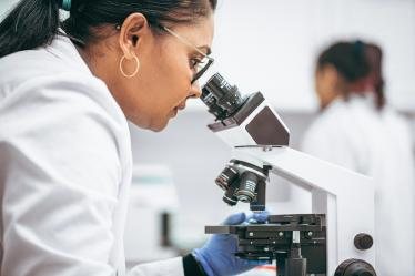 Laboratory technicians examining samples under a microscope